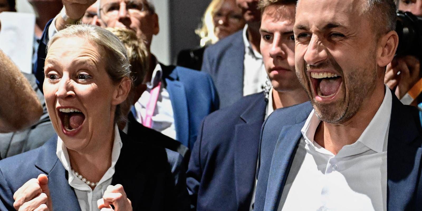 AfD Party Wins Big In Saxony-Anhalt