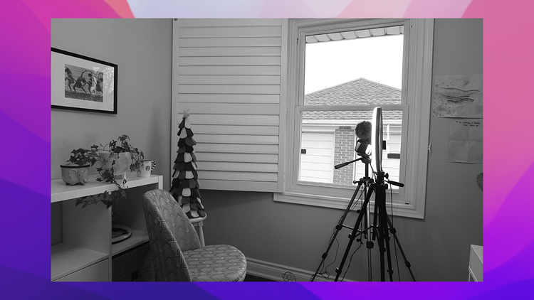 Year of Side Hustles