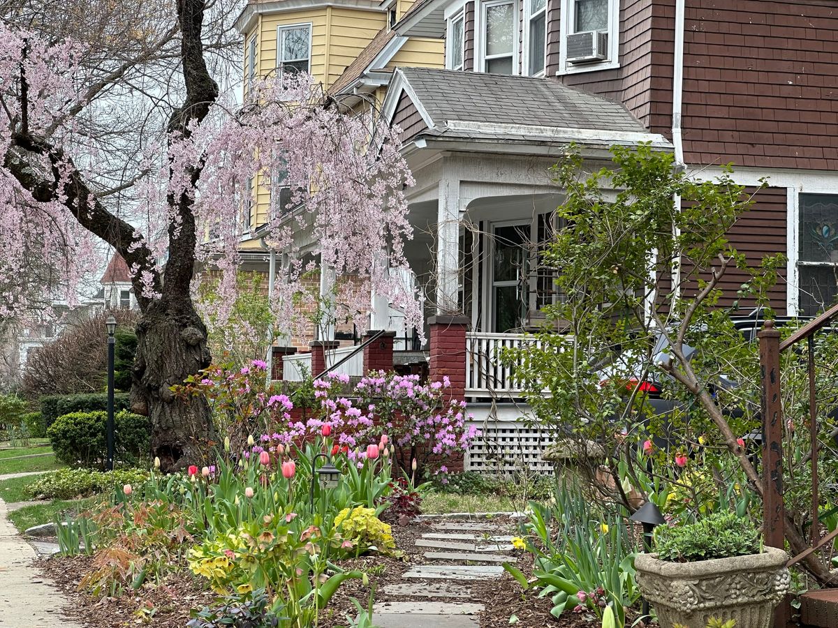 Politics, Transit, Housing, and Spring Events