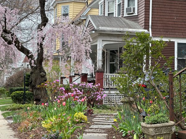 Politics, Transit, Housing, and Spring Events