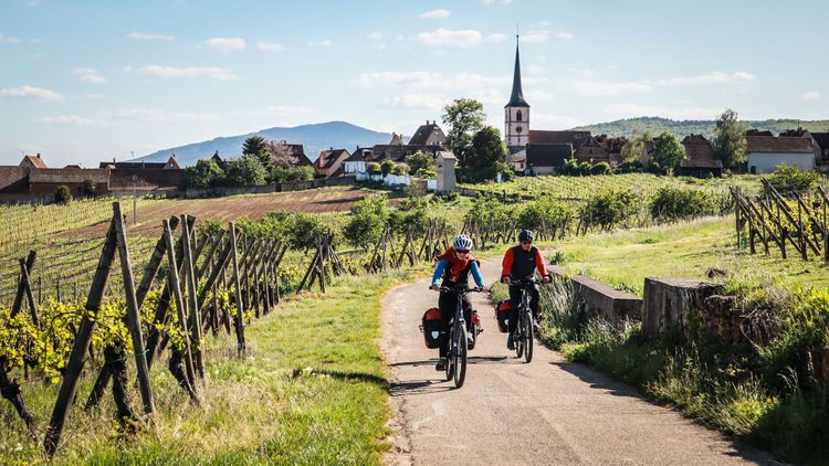 🚴🌻 Le cyclotourisme, est-ce du sport ?