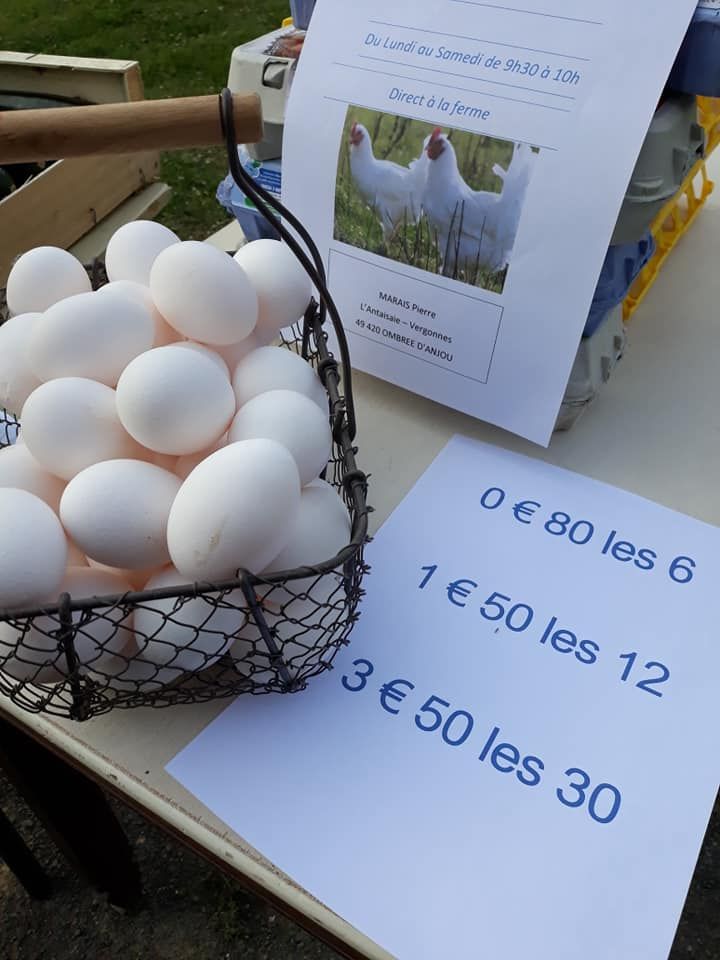 🥚🍳🐣Mettre tous ses œufs dans le même panier.