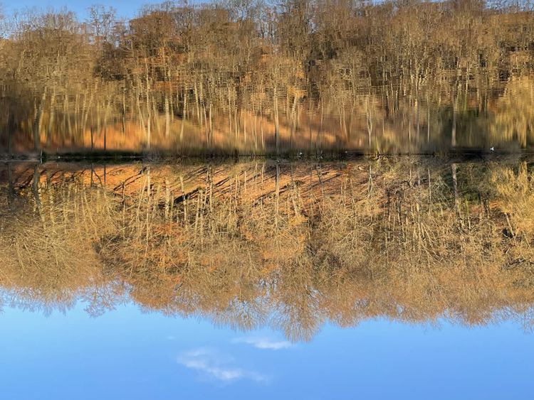 On ne dit plus "occasion" on dit "reconditionné".