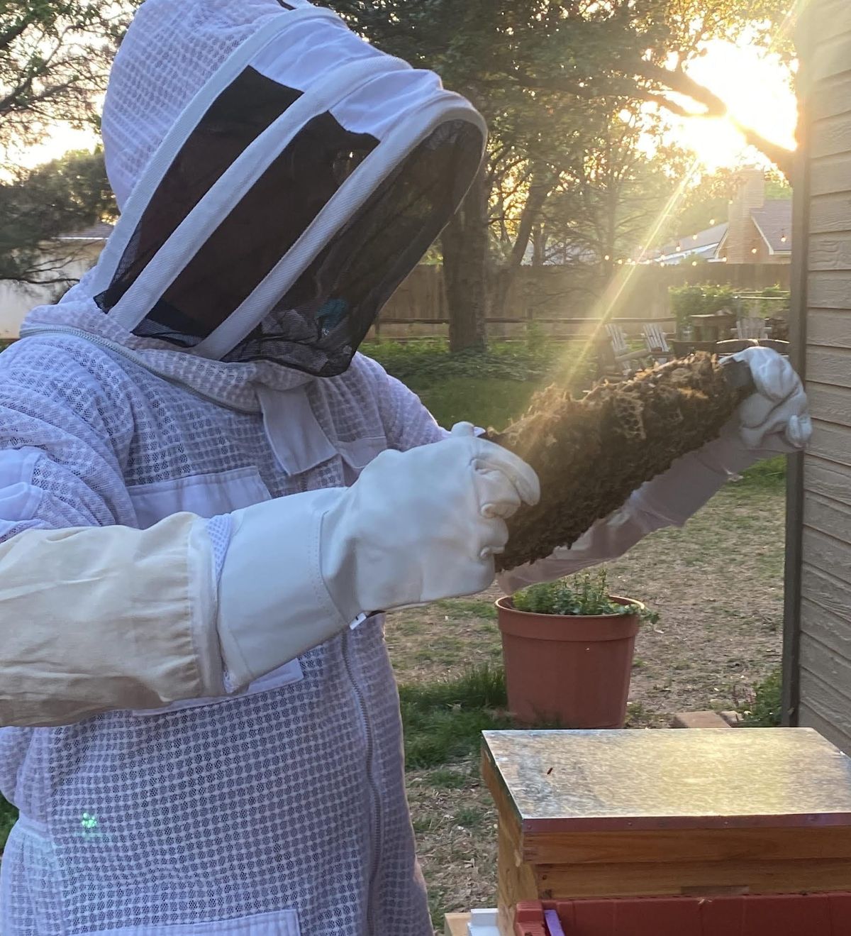Becoming a Beekeeper