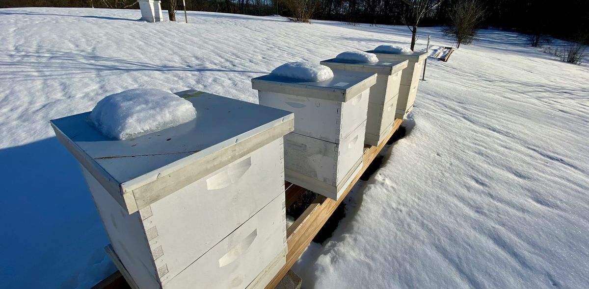 Baby, It’s Cold Outside