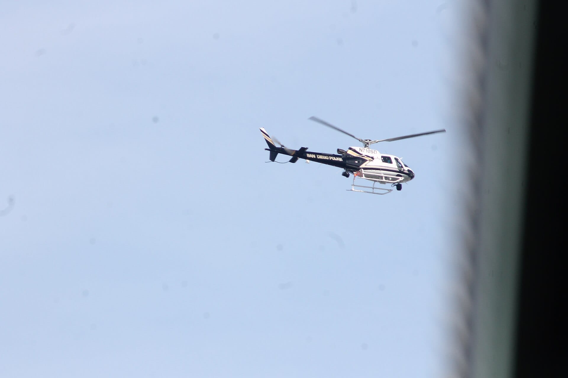 A San Diego Police Department helicopter flying against a pale blue sky, viewed from a ground-level low angle.