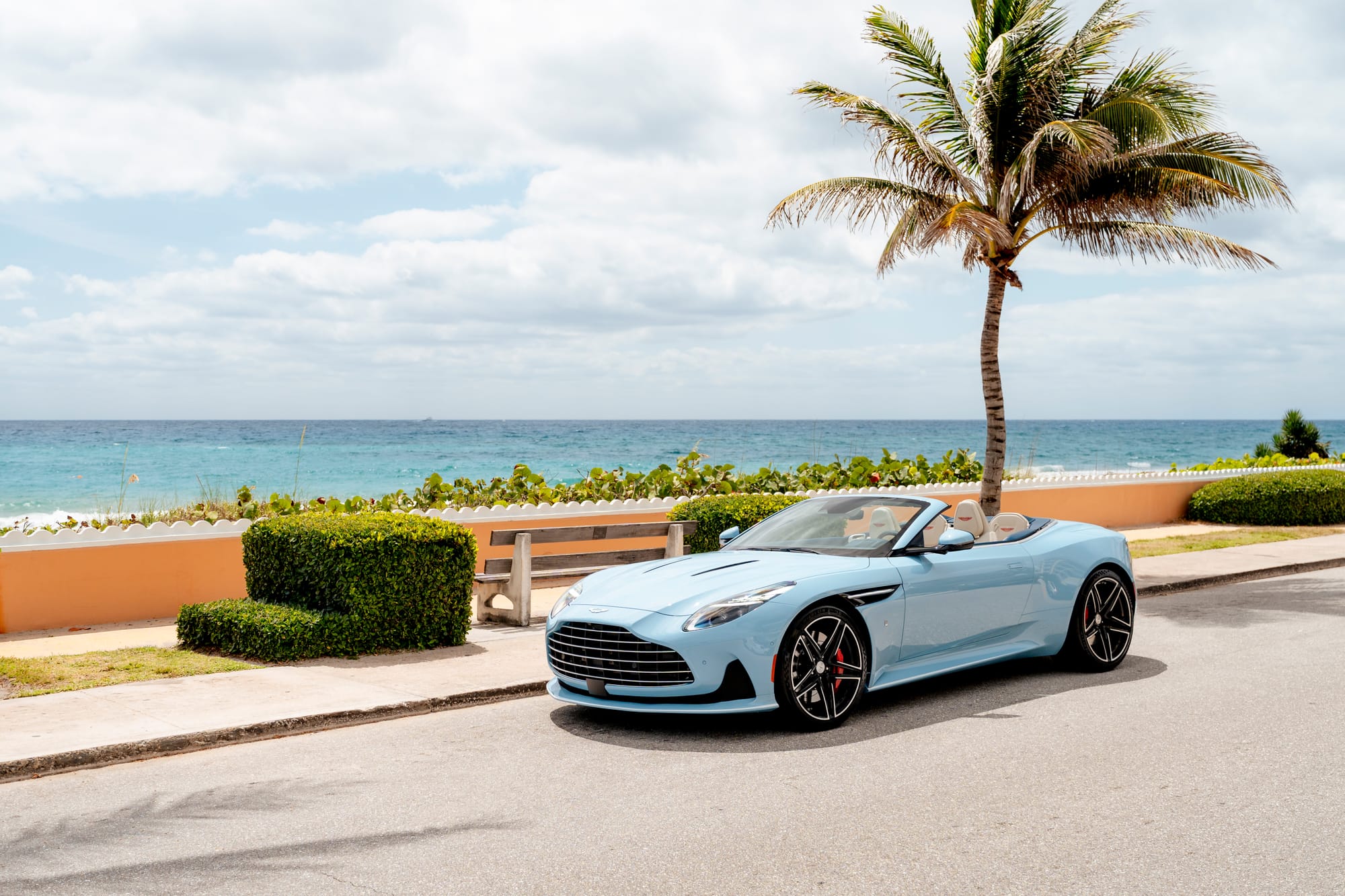 A light blue Aston Martin convertible parked along a scenic coastal road with a palm tree and the ocean in the background.