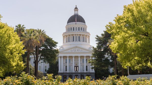 An exterior view of the California State Capitol building surrounded by trees and flowers on a sunny day.
