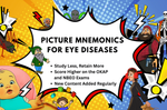 Learn About Eyes The Fun Way!