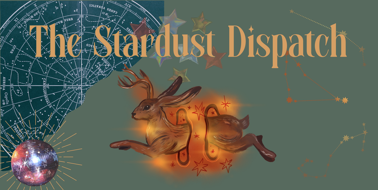 Stardust Dispatch #8