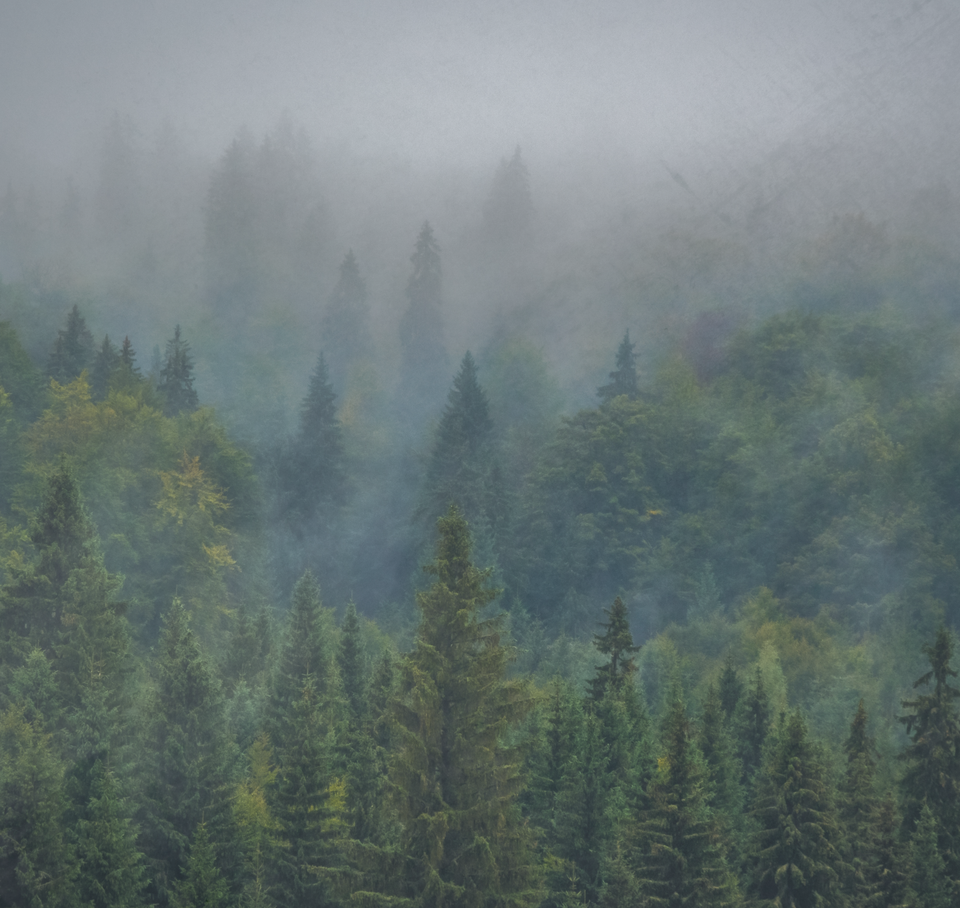 Breakfast Serial #20: A galette to eat while contemplating your circumstances