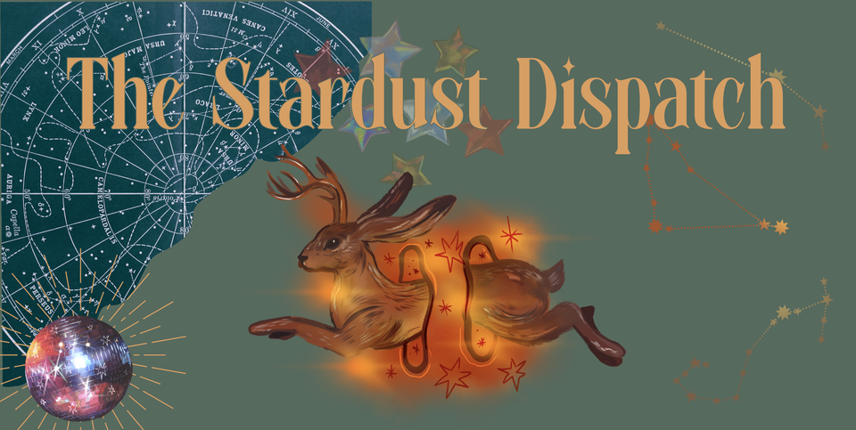 Stardust Dispatch #1: Beginning Again