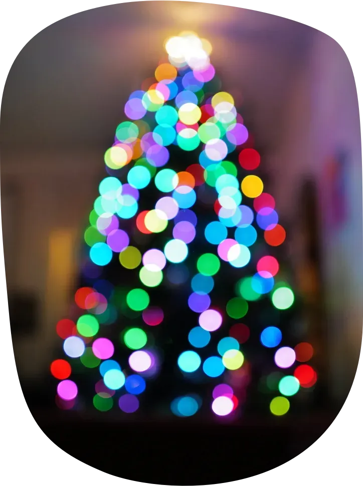 Happy Holidays from Dave!