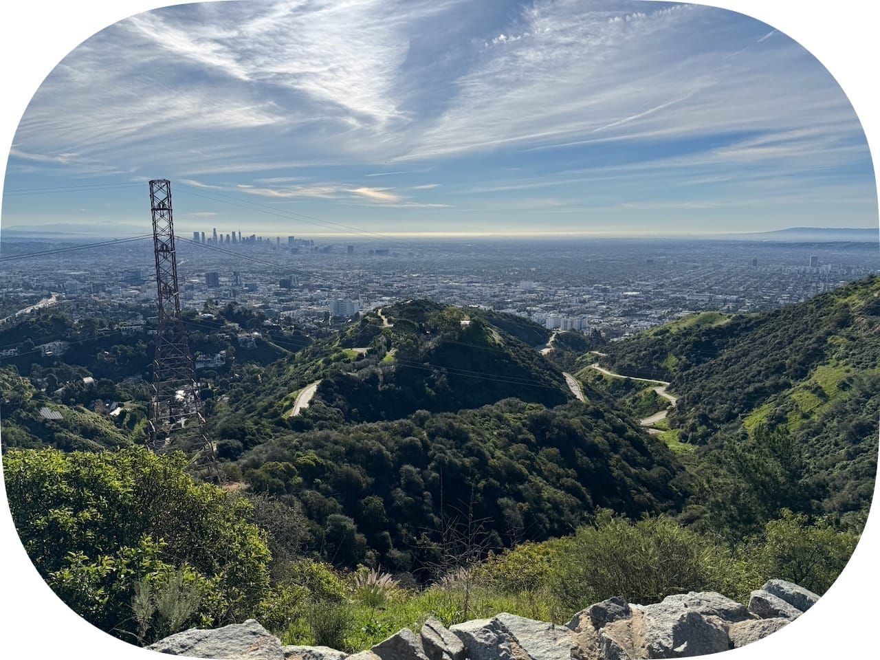 Recent media diet: cannibals, spies, dust, operas, buckets of blood