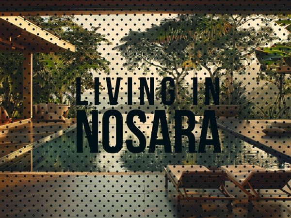 Living in Nosara: The Complete Expat Guide