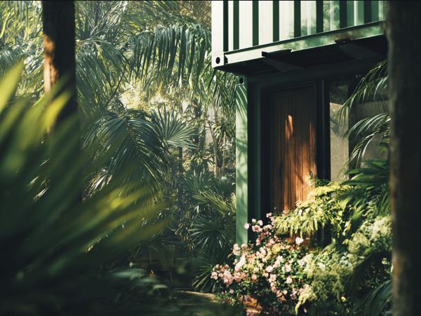 The Hidden Cost of Paradise: Why Construction in Costa Rica Breaks People