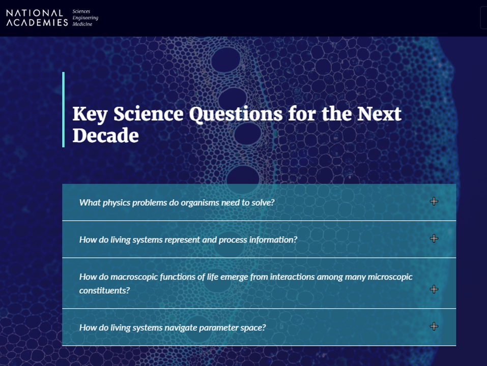 Economics as Metabolism