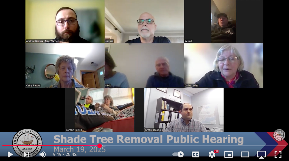 Shade Tree Removal Public Hearing  | March 19, 2025