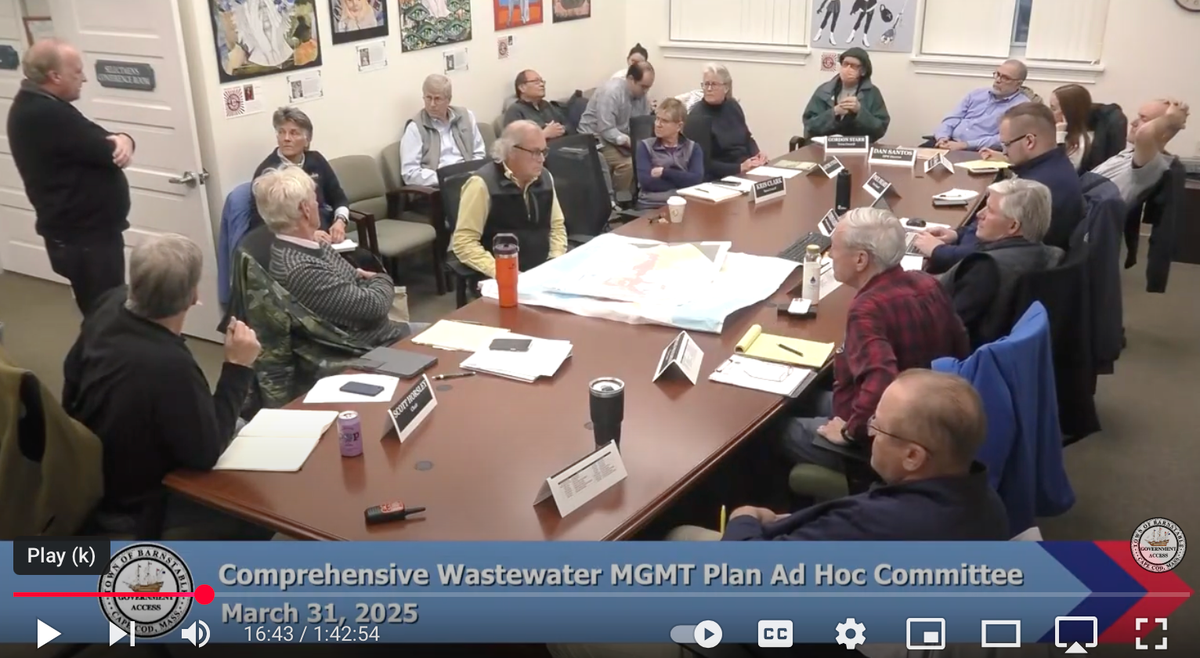 Comprehensive Wastewater Management Plan Ad Hoc Committee | March 31, 2025
