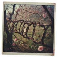 April Is Rude, Loud & Glorious