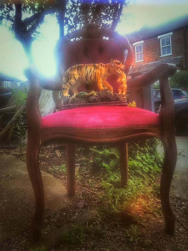 Alex, tigers & evil six year old girls