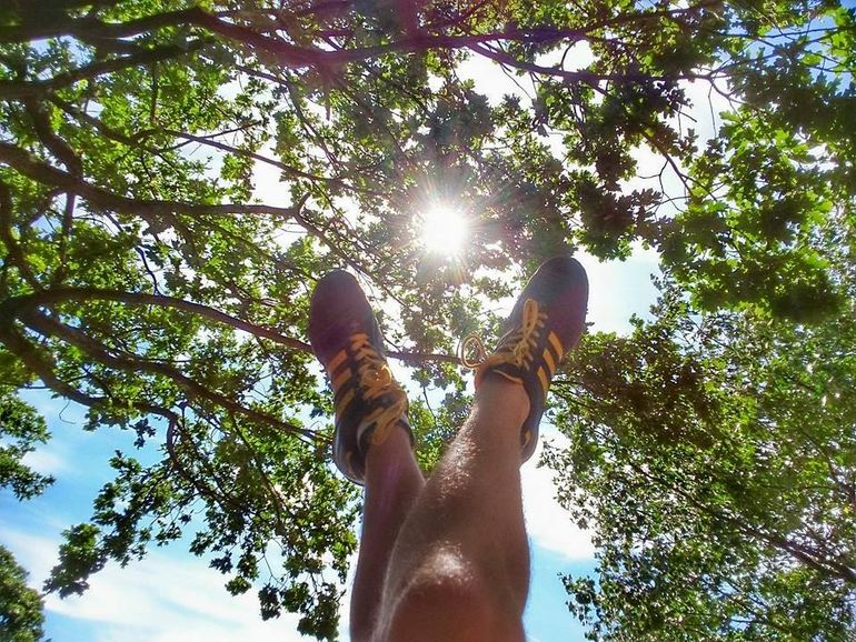 Summer (sort of) Buzz