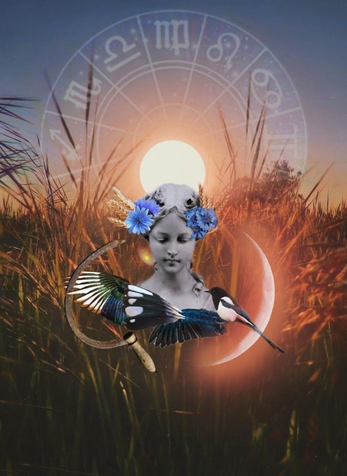 Virgo Season Meditation