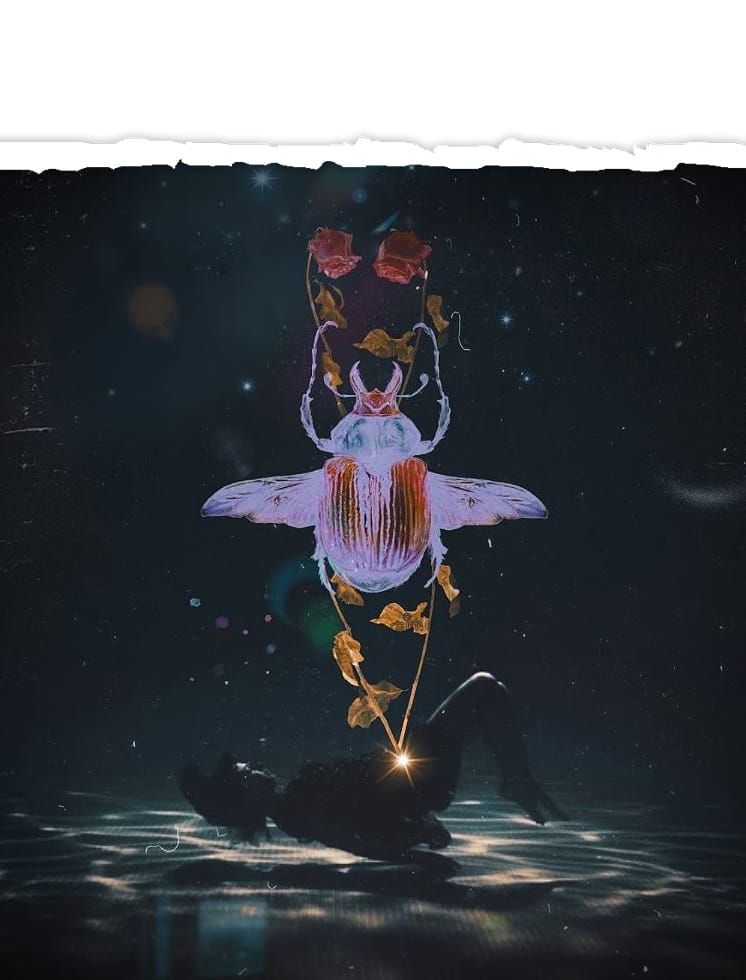 Full Moon in Scorpio Workshop: Unveiling the Velvet Abyss