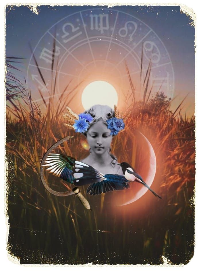 The Harvest Queen: A Guided Meditation for Thriving in Virgo Season