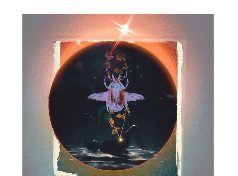 Virgo Eclipse: Burn The Vision Board