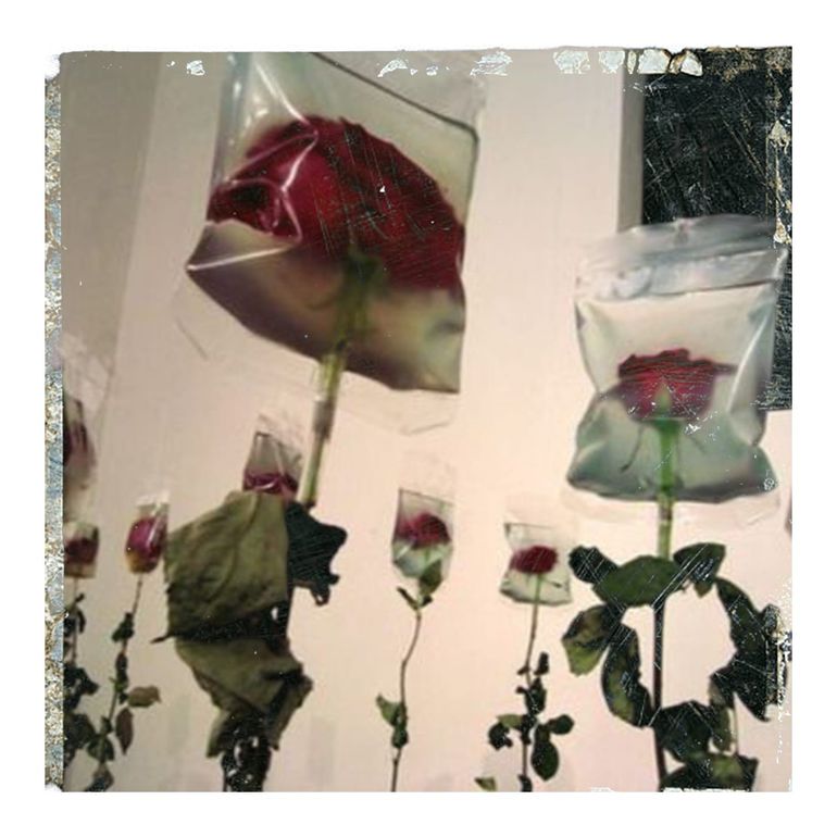 New Moon x Taurus: Pleasure as Protest, Rest as Wealth