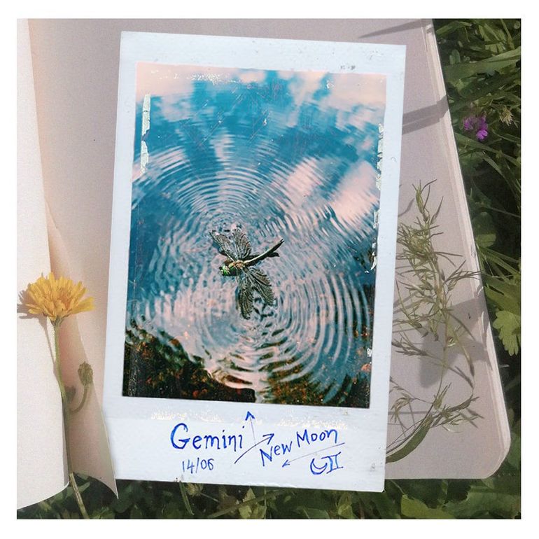 New Moon x Gemini: The First (True)Word