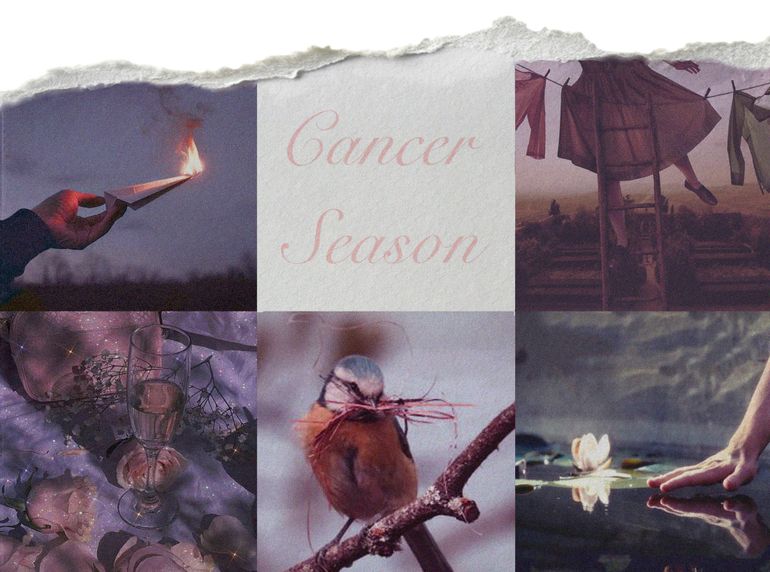 Cancer Season 2026: Soft Animal, Hard Month