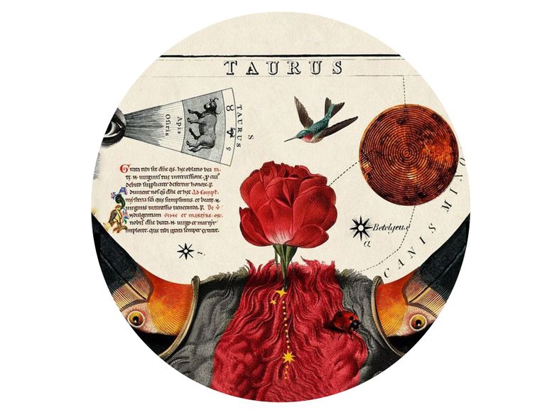 Full Moon x Taurus: Weird Luck & Screaming in the Basement