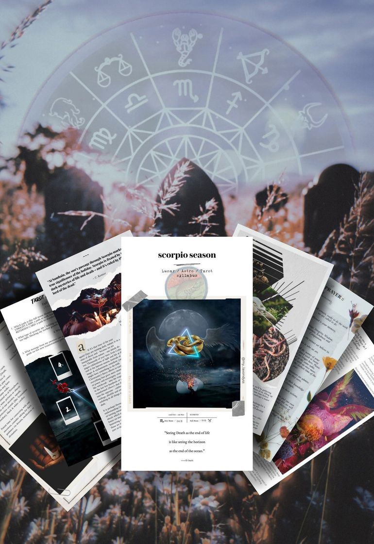 ♏ SCORPIO :: SEASON :: WORKBOOK 🐍🔮