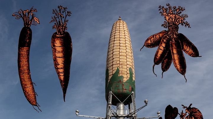 Is Big Ag actually good?