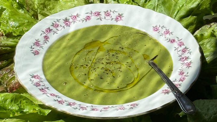 Lettuce Soup