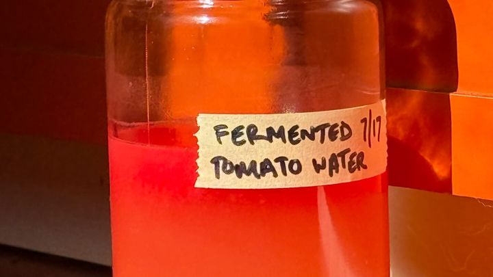 Fermented Tomato Harmony