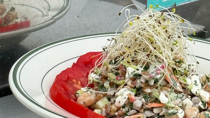 Book Cook: Prehistoric Protein Salad
