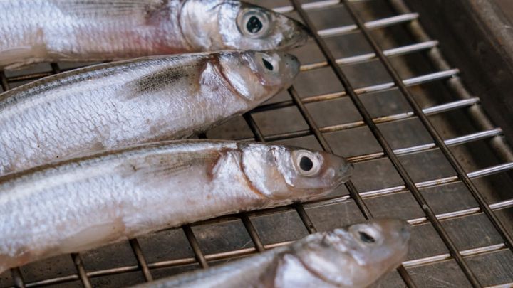 The Hunt for L.A.’s Local Seafood