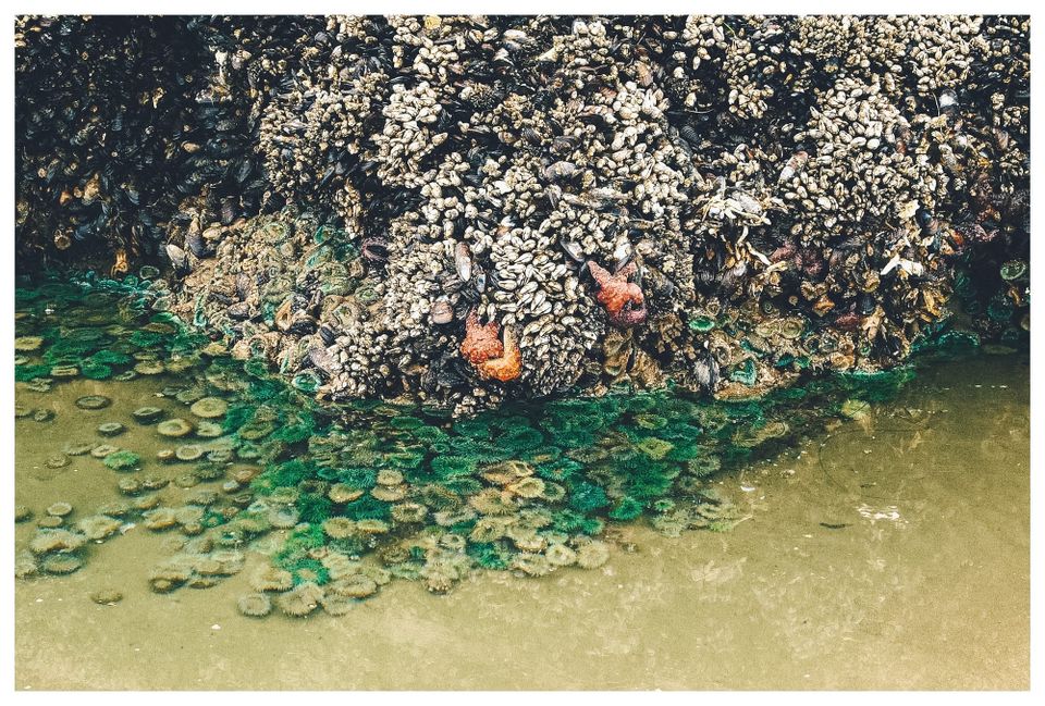 Minus Tide