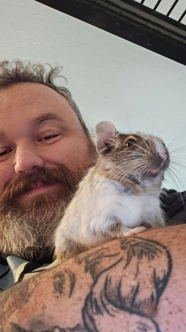 A visit from Willow
