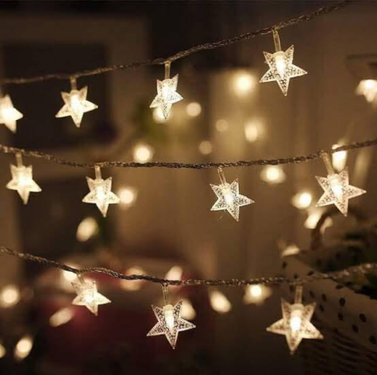 Lights, carols and action: 6 festive things to do
