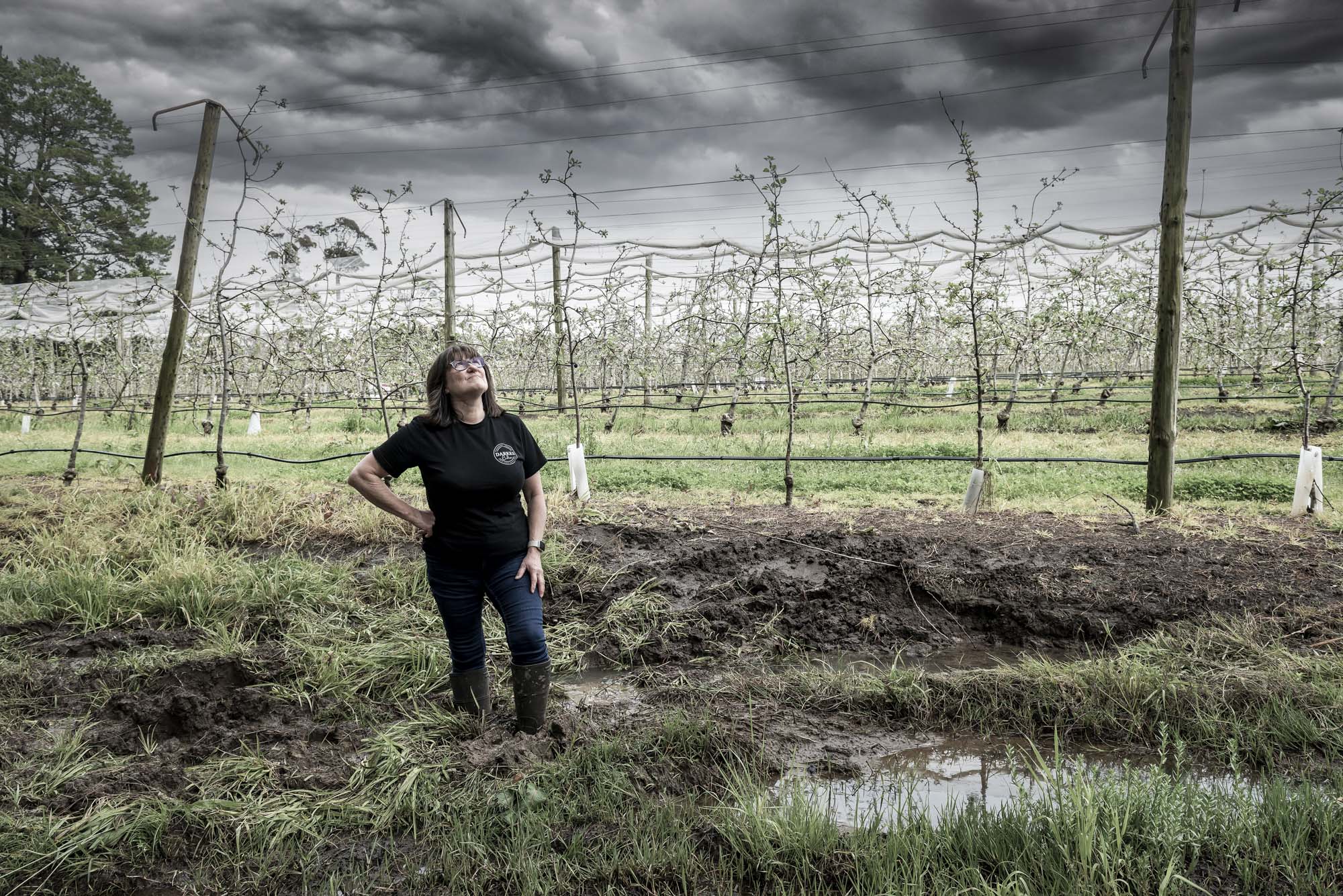Long wet 'worse than Covid' for local farmers  post image