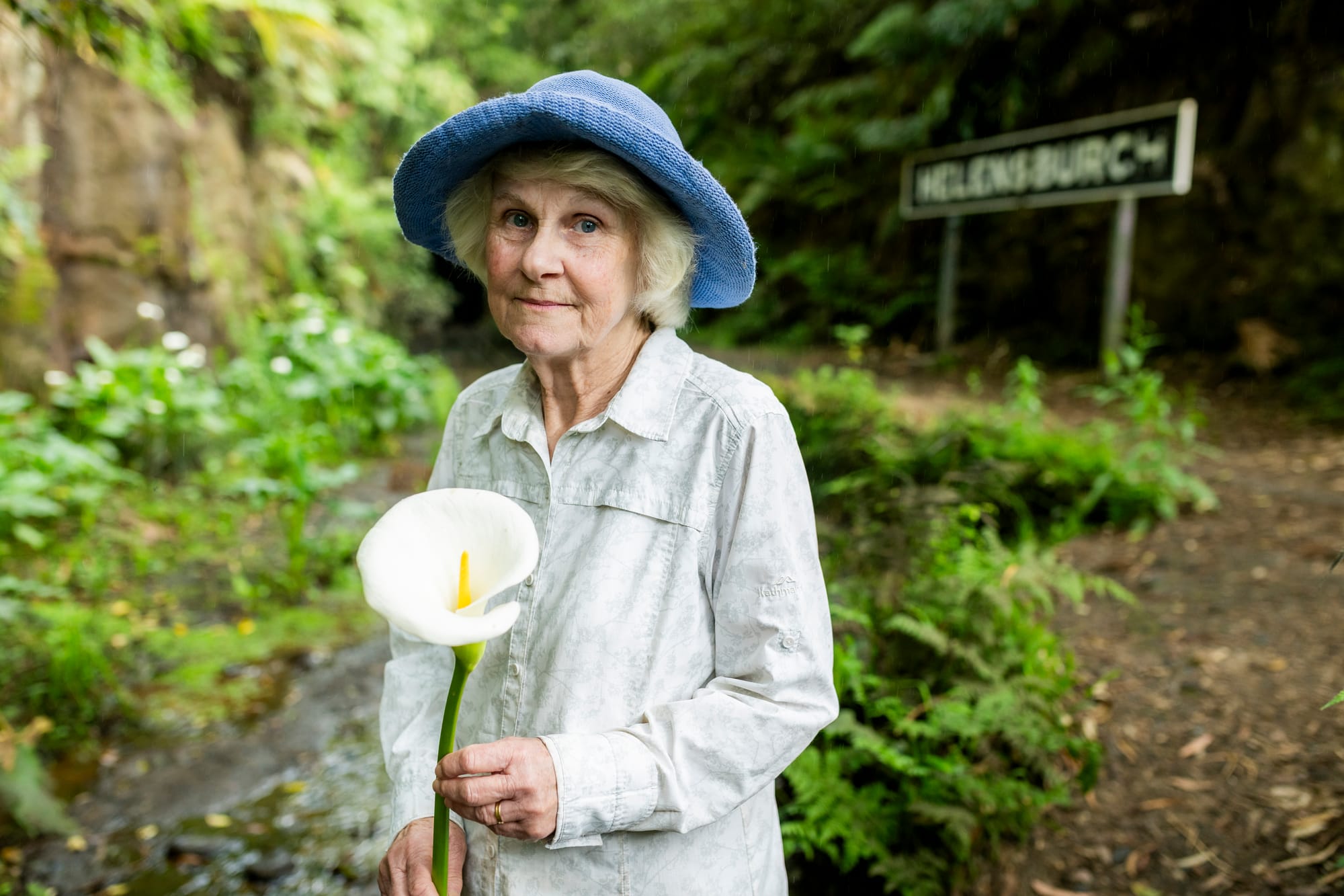 This Halloween, pick a death lily  post image