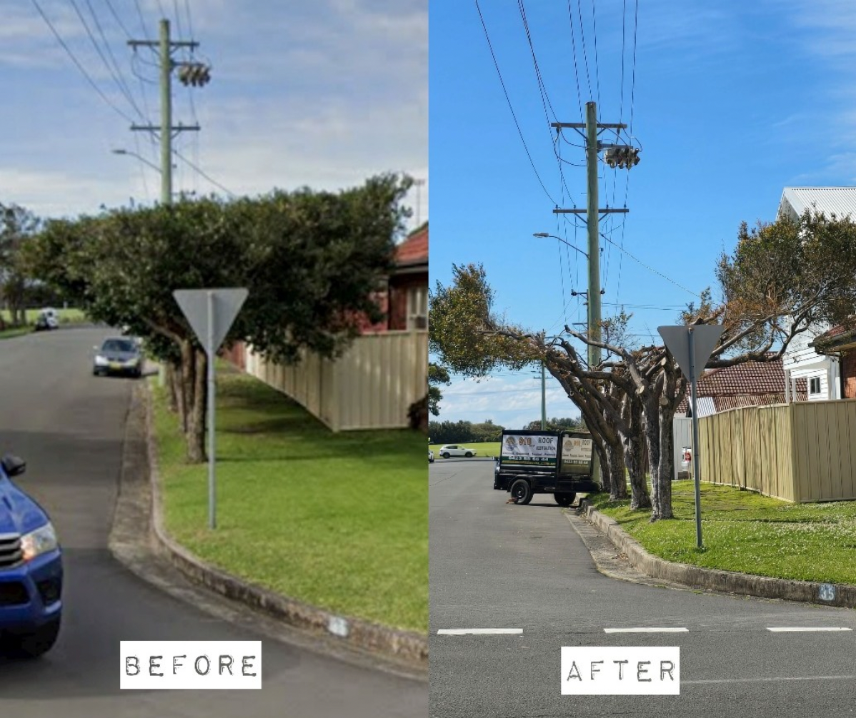 When does street tree pruning become tree vandalism?  post image