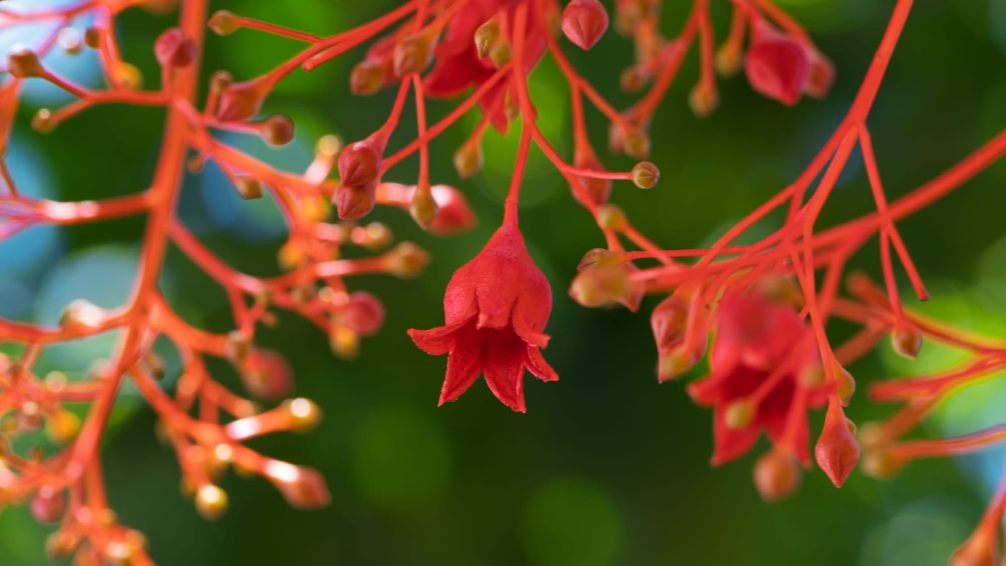 Introducing our all-new website!  post image