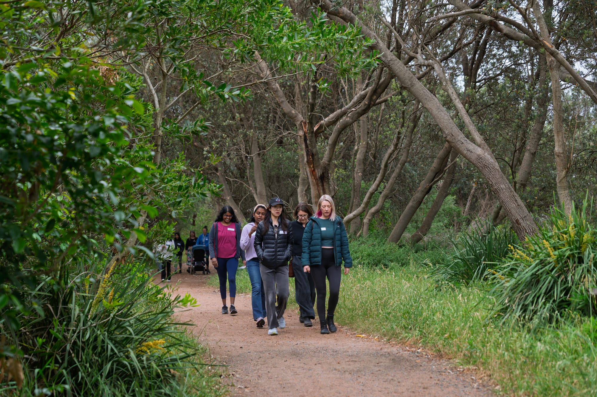 Networking on the move  reveals pathways for women in STEMM