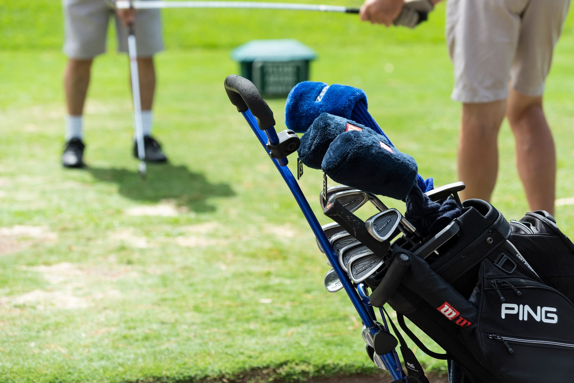 Tees the season: Golfers share festive wishes  post image