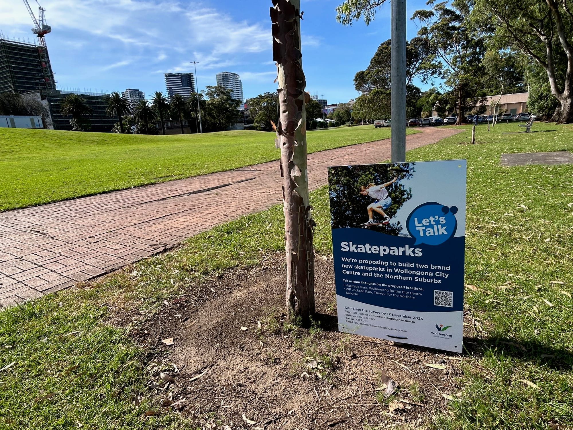 Forum calls to put the brakes on MacCabe Park skate park until a detailed master plan has been completed  post image